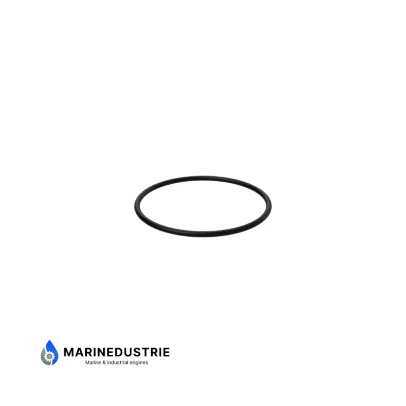 Dagaanbieding O-Ring Volvo Penta - 968971