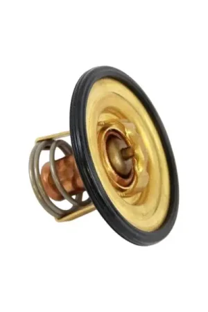 Betrouwbaar Volvo Penta thermostaat kit – 875796