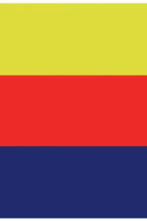 Gecertificeerd Noordhollandse Vlag – 20x 30cm