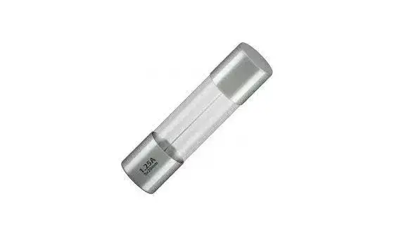 Rechtstreeks Van De Fabrikant 10 Stuks Glaszekering 5x20mm – 2A