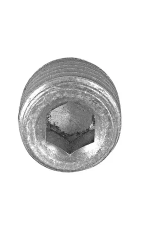 Direct Verzonden Quicksilver Afdichtingsschroef 1/4" NPT 8M0204652